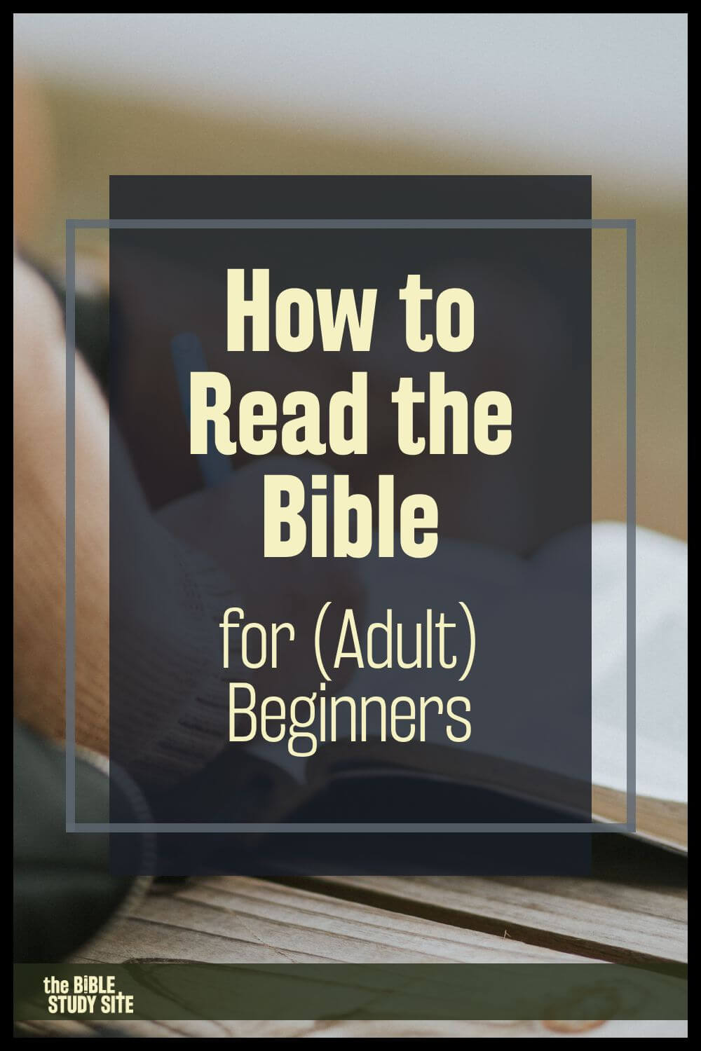 How to Read the Bible for (Adult) Beginners (pin)