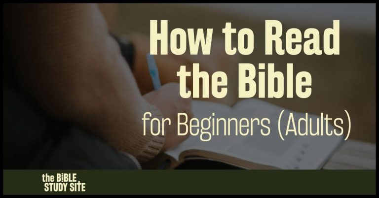 How to Read the Bible for Beginners (Adults) ~ The Bible Study Site